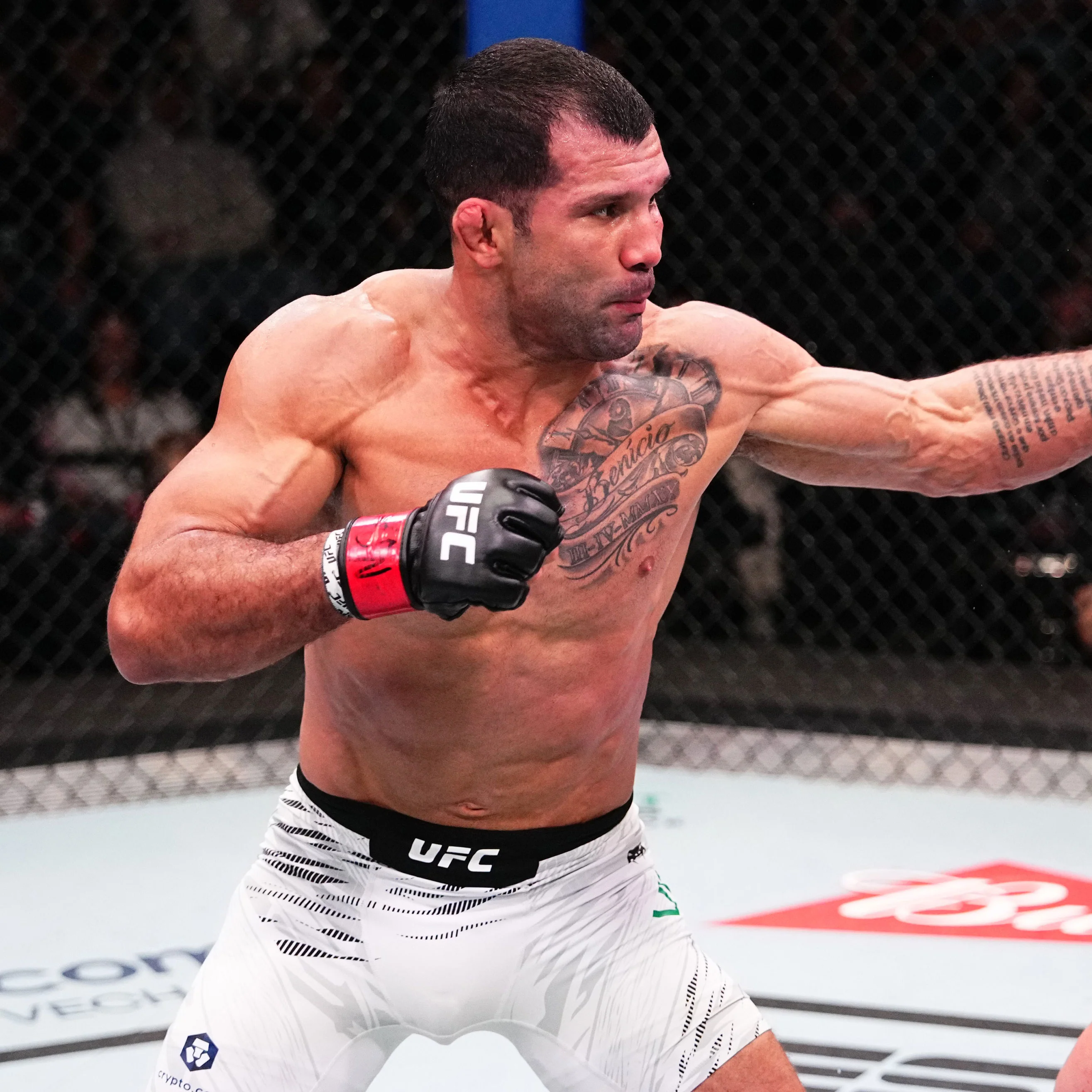Rodolfo Viera 1-of-1 Fight Issued Hoodie UFC Fight Night: Cannonier vs Rodrigues - Image 3