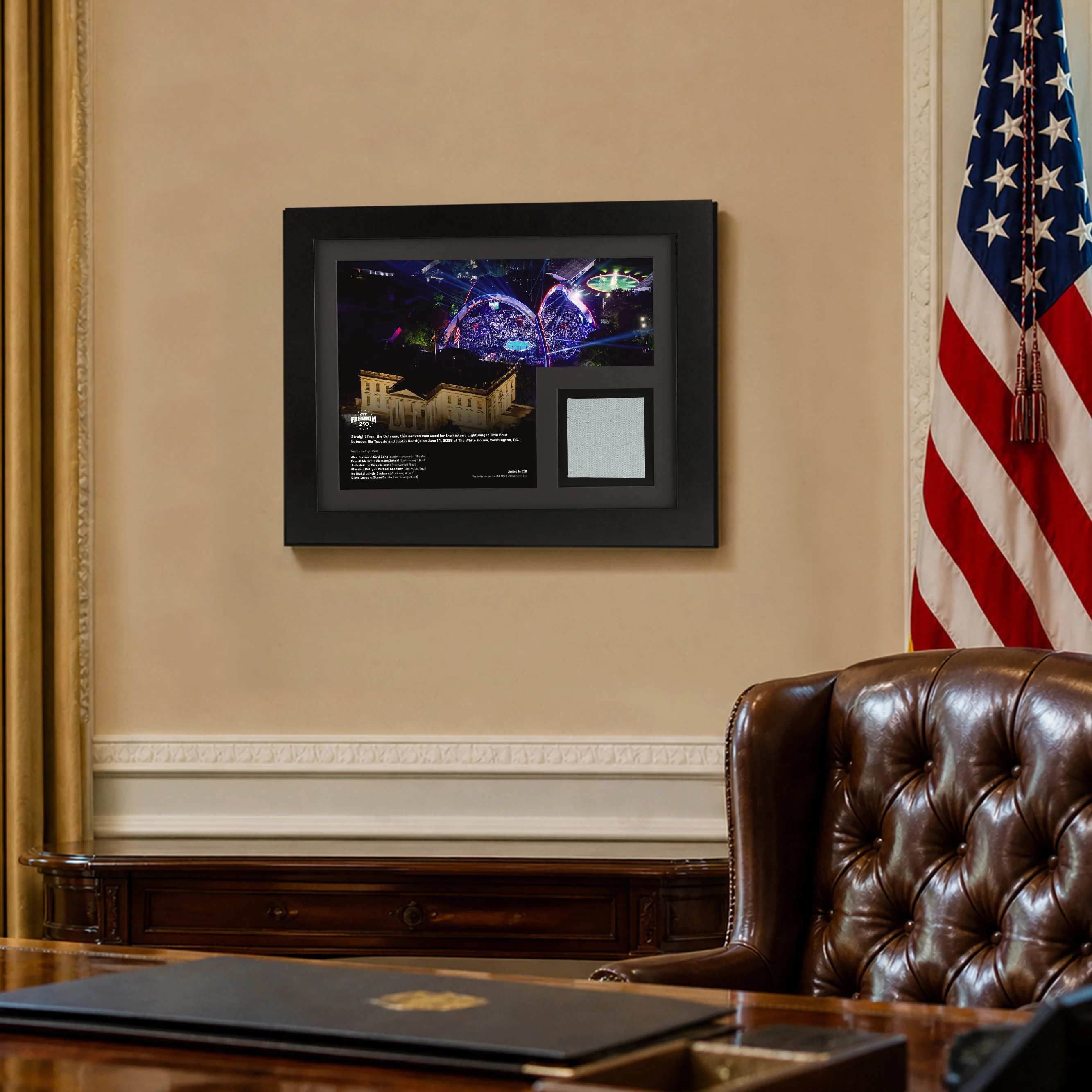 UFC Freedom 250 Canvas & Photo - Image 3