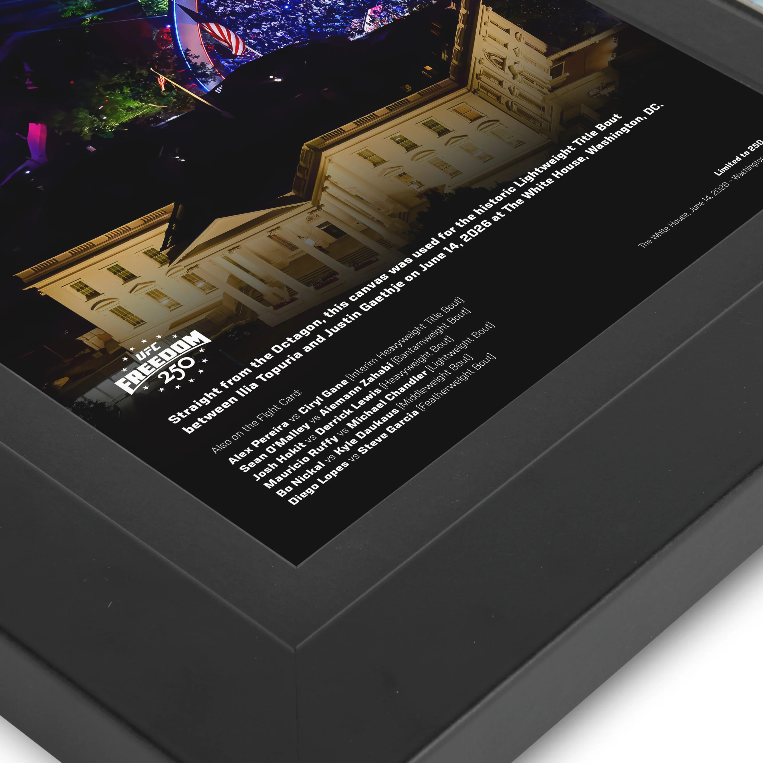 UFC Freedom 250 Canvas & Photo - Image 4