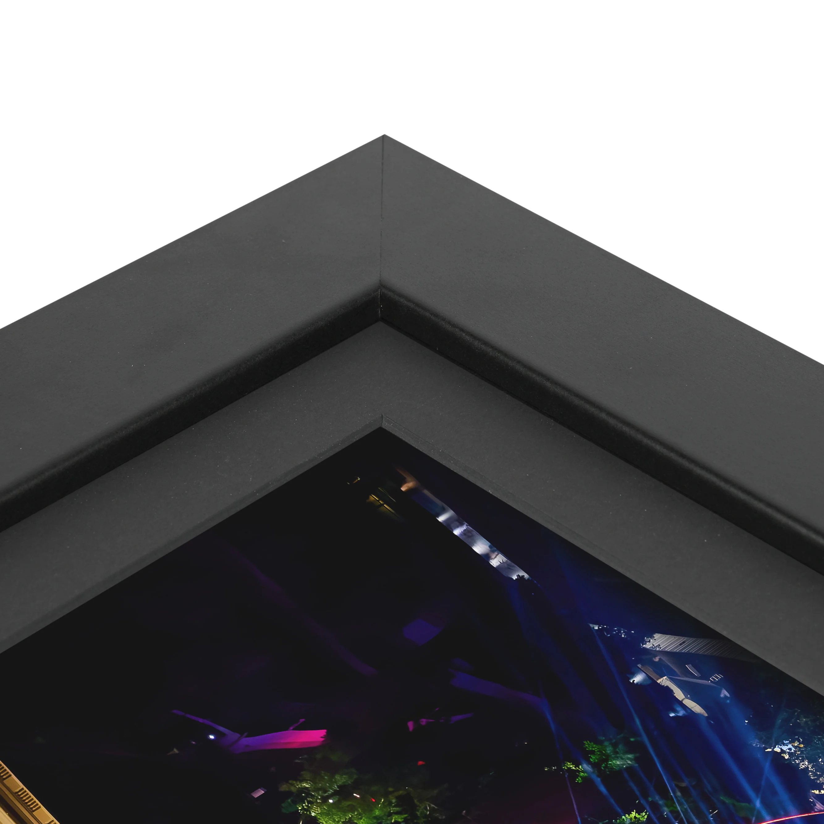 UFC Freedom 250 Canvas & Photo - Image 5
