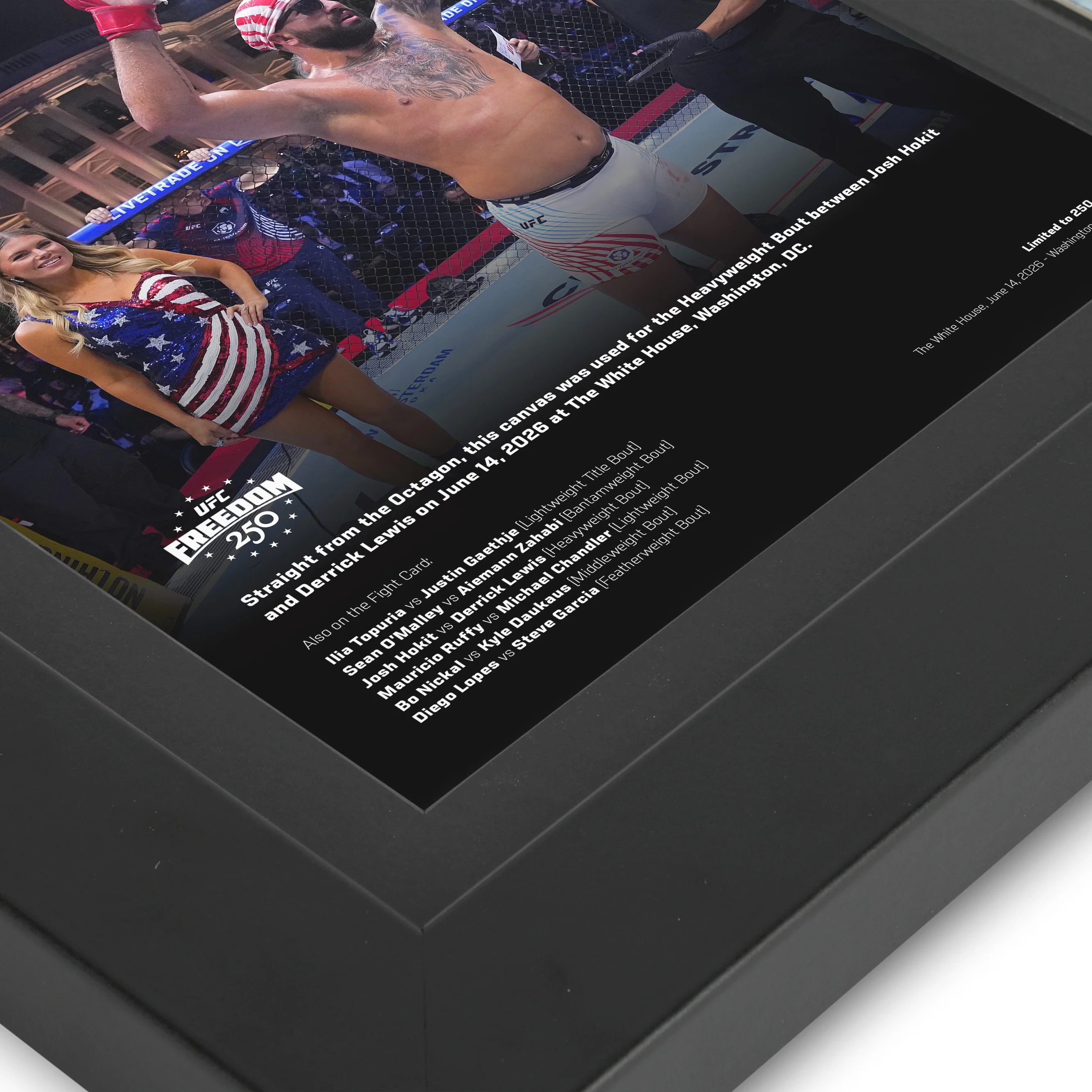 UFC Freedom 250: Hokit vs Lewis Canvas & Photo - Image 4