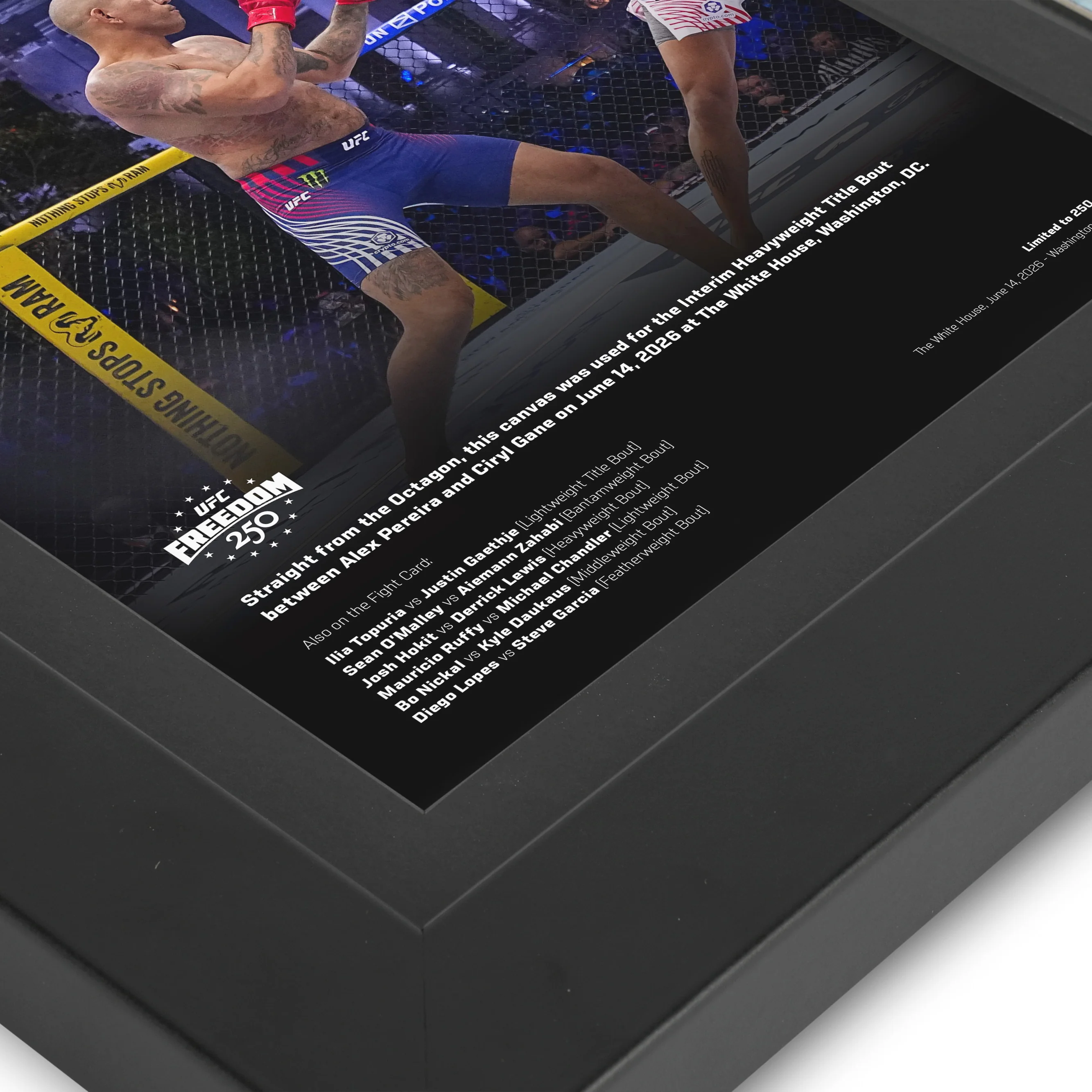 UFC Freedom 250: Pereira vs Gane Canvas & Photo - Image 4