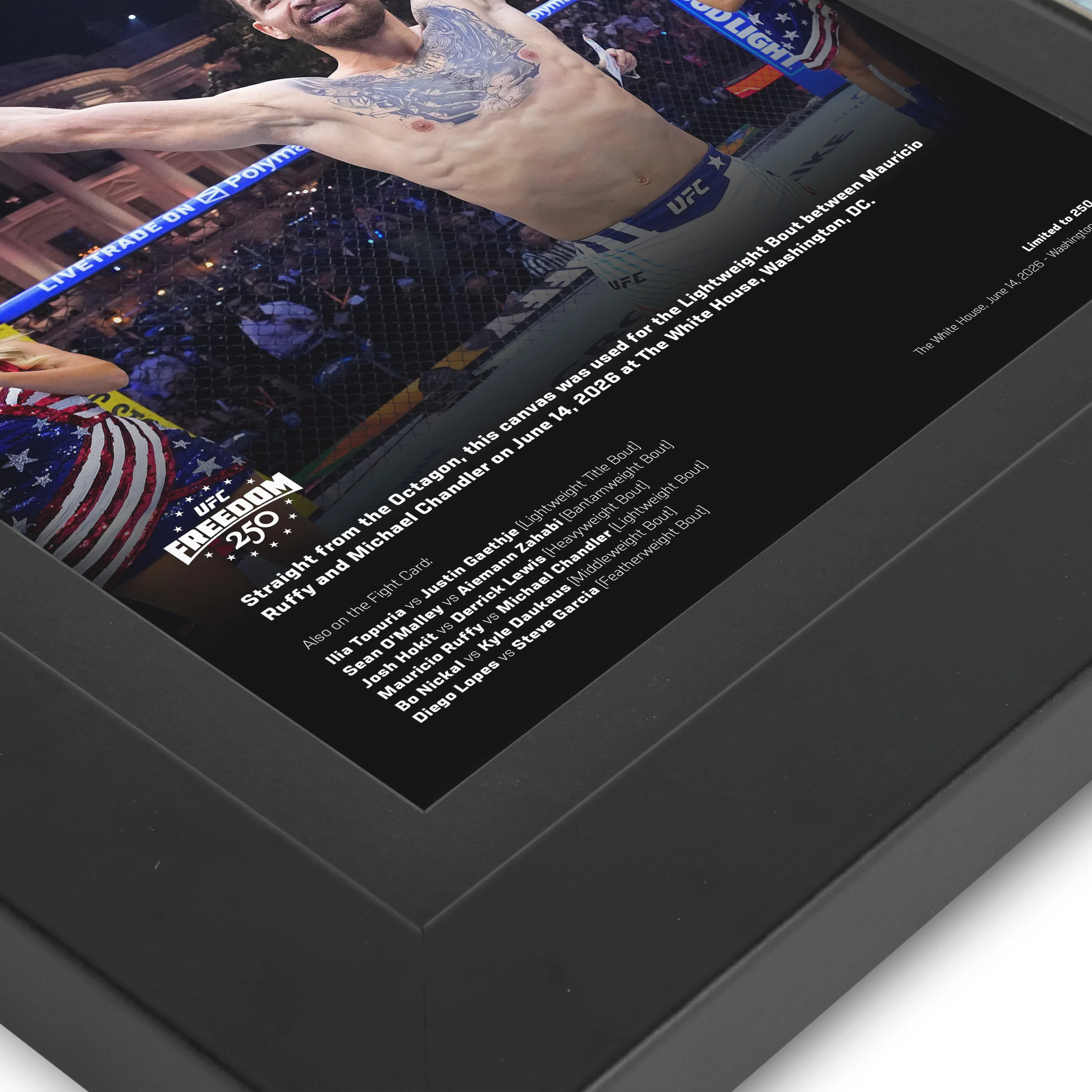 UFC Freedom 250: Ruffy vs Chandler Canvas & Photo - Image 4