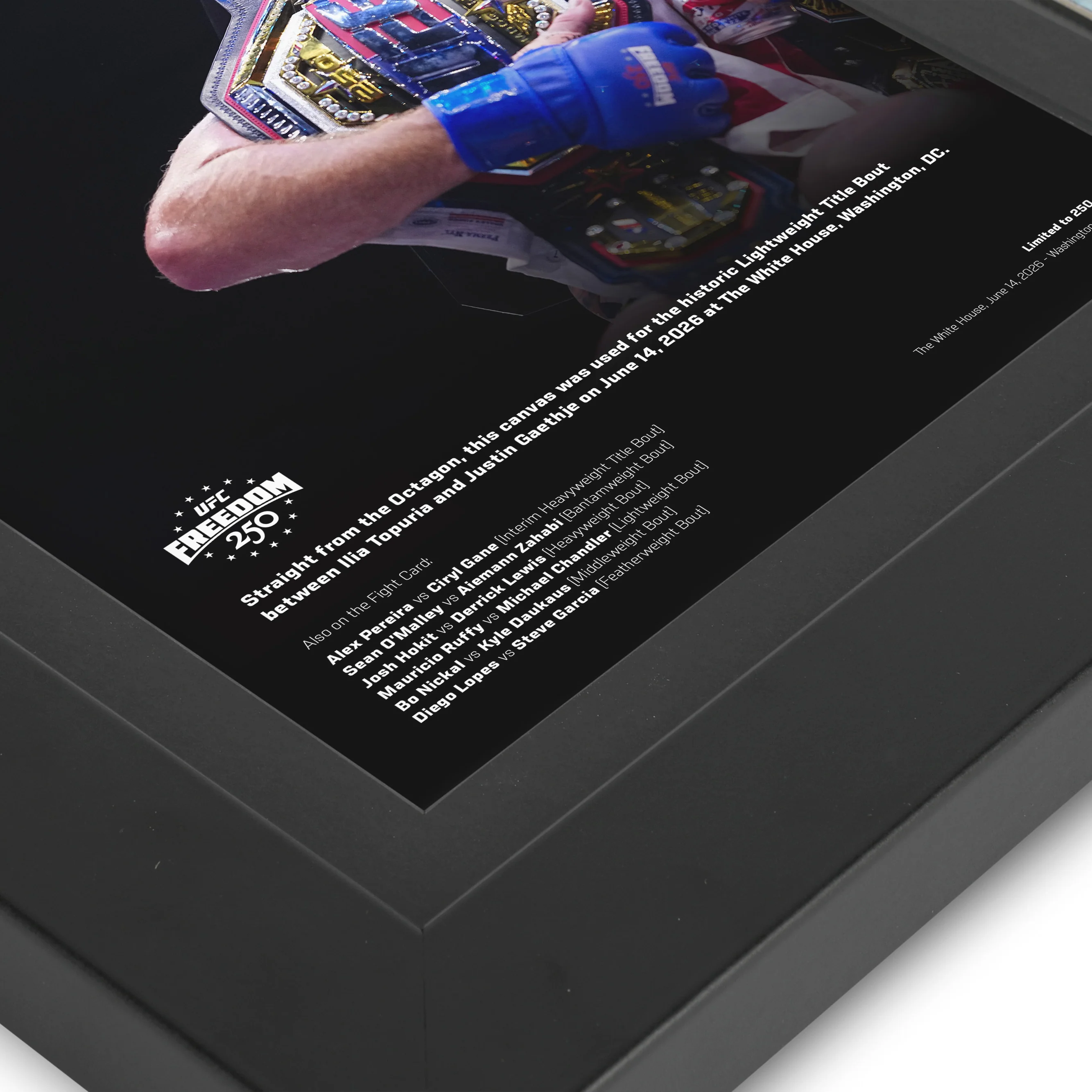 UFC Freedom 250: Topuria vs Gaethje Canvas & Photo - Image 4