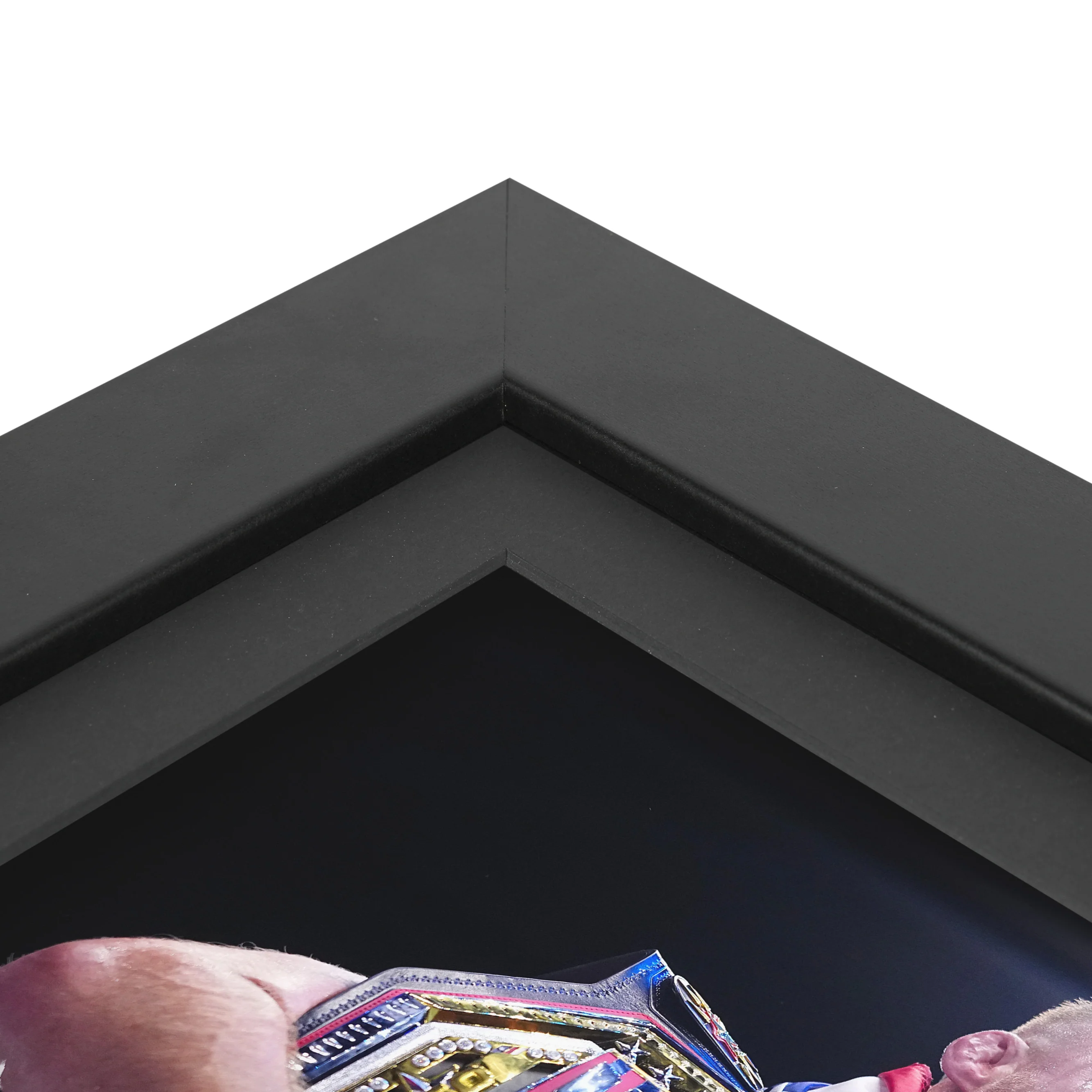 UFC Freedom 250: Topuria vs Gaethje Canvas & Photo - Image 5